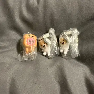 Skzoo 스키즈 츠마은데츠나게테마스코토 vol.2 폭시니