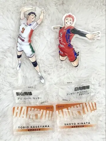 카게야마 토비오 히나타 쇼요 하이큐 크로니클 아크릴 스탠드 묶음 판매