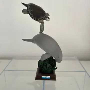 수족관 피규어 컬렉션 토바 수족관 듀공 바다거북