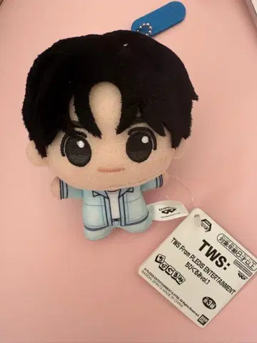 TWS From PLEDIS ENTERTAINMENT SD 인형 한진