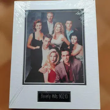 해외 드라마 Beverly Hills 90210 집합 사진
