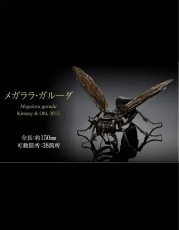 메가라라 갈루타 캡슐 토이