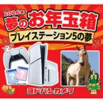 요도바시 카메라 꿈의 새해 선물 상자 플레이스테이션 5의 꿈