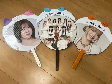 ME:I 부채 부채 케이스 6종 세트