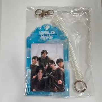 WILDBLUE 포토 카드 세트