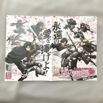 진격의 거인 혼인신고 젝시 진격의 혼인신고 영원한 사랑을 바쳐라!