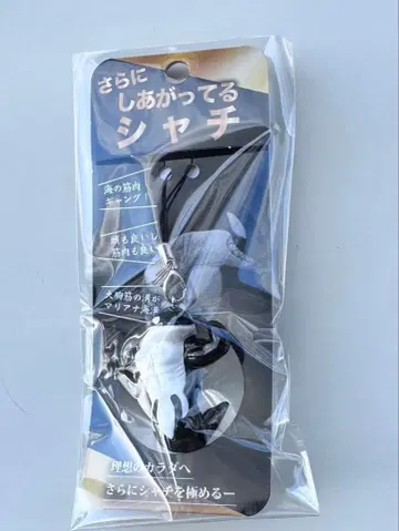 더욱 완성된 범고래 스마 월드 키링 스트랩 이와모토 테루