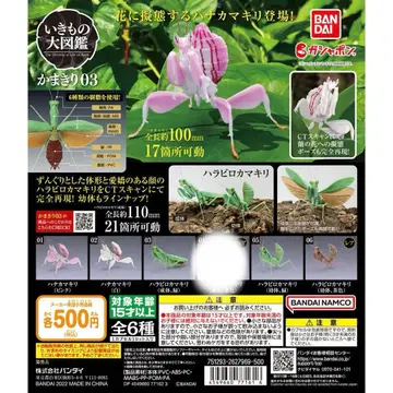 생물대도감 하나사마귀 세트