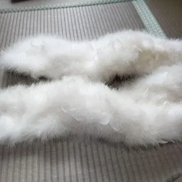 푹신푹신 깃털 달린