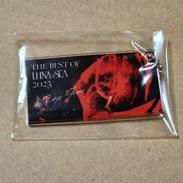 LUNA SEA 기프트 엔벨로프 아크릴 키링