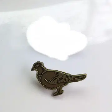 토드 프란시스 비둘기 핀즈