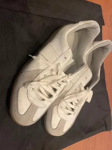 저먼 트레이너 24cm