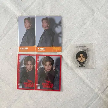 타케치 카이세이 카우콘 가챠 아크릴 참 플라스파 포토카 세트