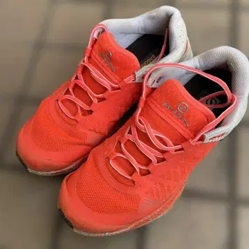 스컬파 스핀울트라 우먼 25