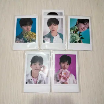 SEVENTEEN HANABI 인스턴트 폴라로이드 세트 묶음 판매