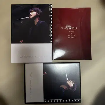 ZARD/LIVE 2004'What a beautiful moment -