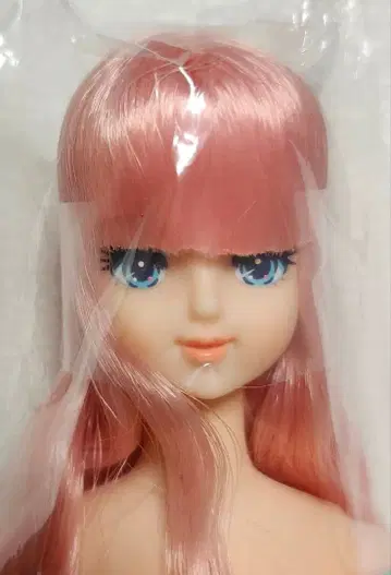 스무살 제니 즐거운 인형 미개봉 리카짱 캐슬 제니 프렌드