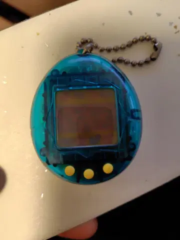 디지털 반려동물 클리어 블루