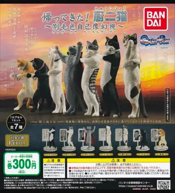 주니캣 가챠 40개 묶음 판매