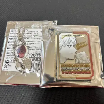 히로아카 원화전 패브릭 거울 합금 참 토도로키 쇼토