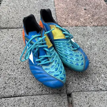 이그니타스 25.5