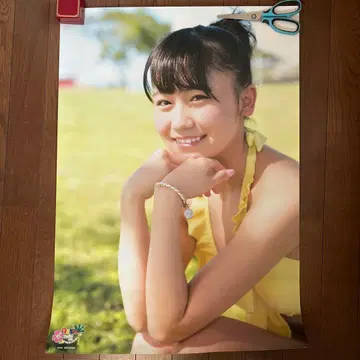 AKB48 해외여행 일기 코지마 마코 코지마코 한정판 B2 사이즈 포스터