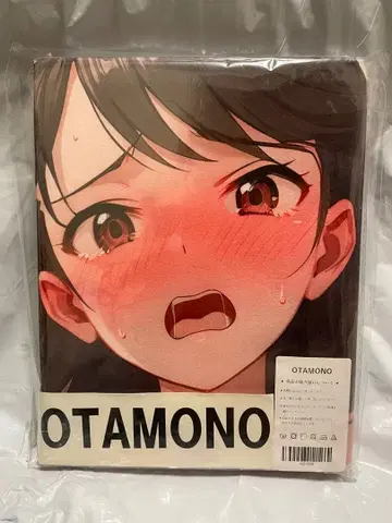 31500 미 아이돌 마스터 키리노 아야