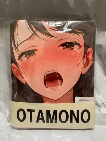 31503 미 아이돌 마스터 키리노 아야