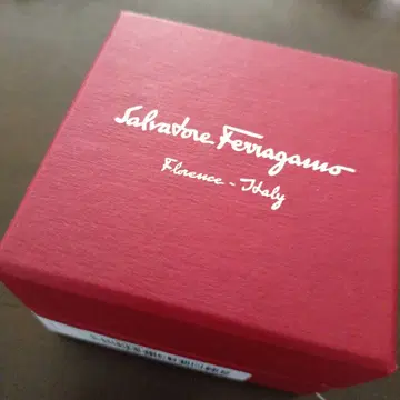 Salvatore Ferragamo 벨트 금장 장식 간치니