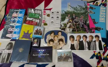 아라시 이미지의 모든 것