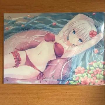 Summer pockets 아크릴판