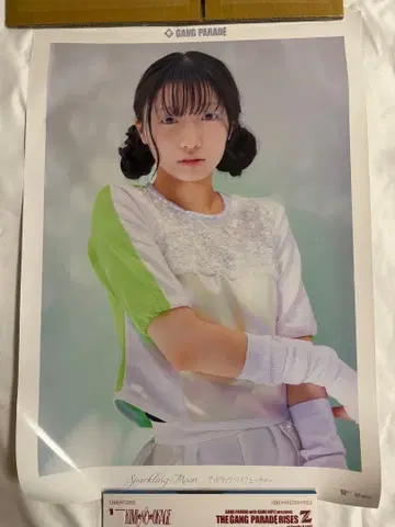 나루하 월드 GANGPARADE 포스터 세트