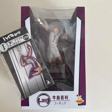 하이큐!! 우시지마 와카토시 라스트 원상 아크링 키링 세트 (I상)