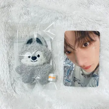 skzoo micro 마이크로 키링 울프찬