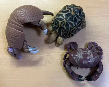 가챠가챠 동물 세트 (게, 거북이, 아르마딜로)