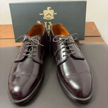 알든 2160 #8 (다크 버건디) 코도반 스트레이트 팁