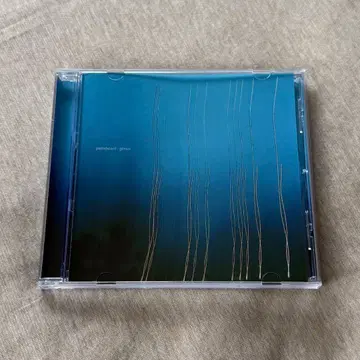 새상품 pasteboard gritter limited CD 수입 한정판