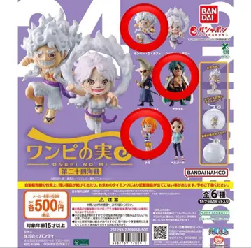 원피스 원피스 열매 제24해전