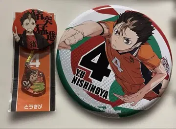 하이큐!! 니시노야 유우 스탠드 컬렉션 캔뱃지