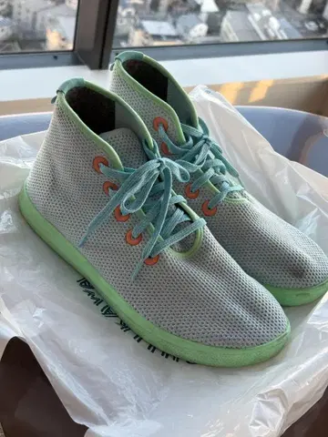 Allbirds 하이컷 스니커즈 28cm