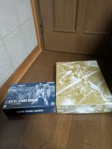 새상품 미조립 프라모델 HG 스트라이크 대거 MG 양산형 백식 개조 건담