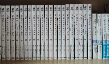 문호 스트레이독스 코믹스 1~21권 + 소설 4권