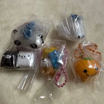 산엑스 유니버스 참 구미