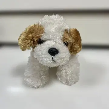 강아지 봉제 인형