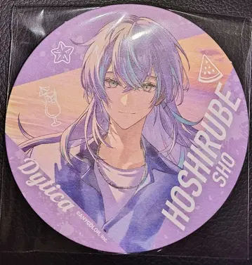 니지산지 바다의 집 HEROES 히어로 코스터 호시미치 쇼