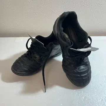 축구 미즈노 트레이닝 슈즈 19.5cm