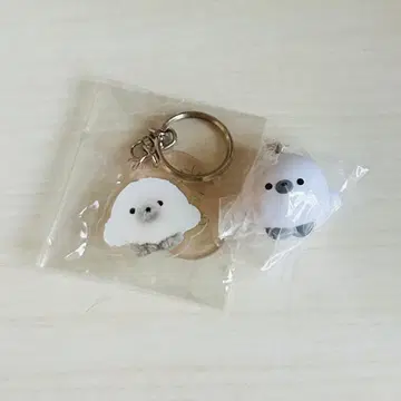 조세마루 마루코로 세트