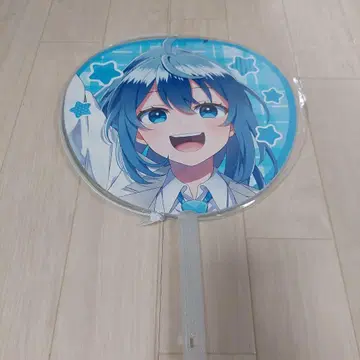 컬러풀 피치 루나 부채 카라피치 파라다이스 2025