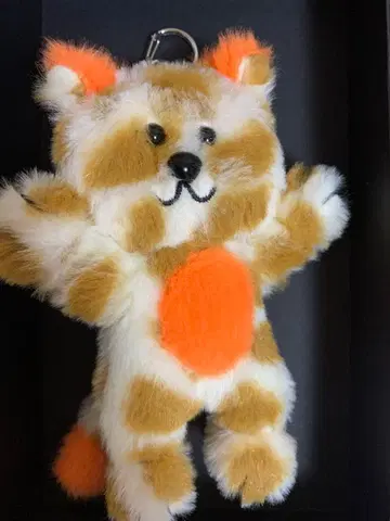 BOYNEXTDOOR 성호 캐피 키링