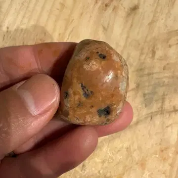 유타주 공룡의 위 속에 있던 위석 화석